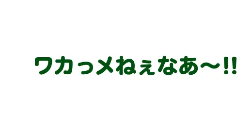 わかっめねえな〜！